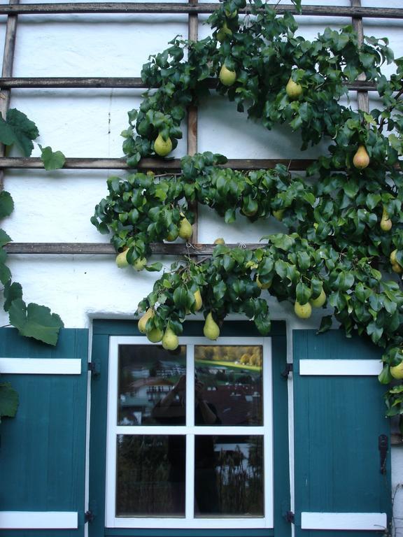 Apartmán Alpenhof Punzenlehen Schönau am Königssee Exteriér fotografie